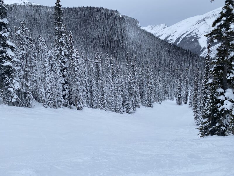 Runs off Banff Avenue in Sunshine Village, Canada. Image © PlanetSKI